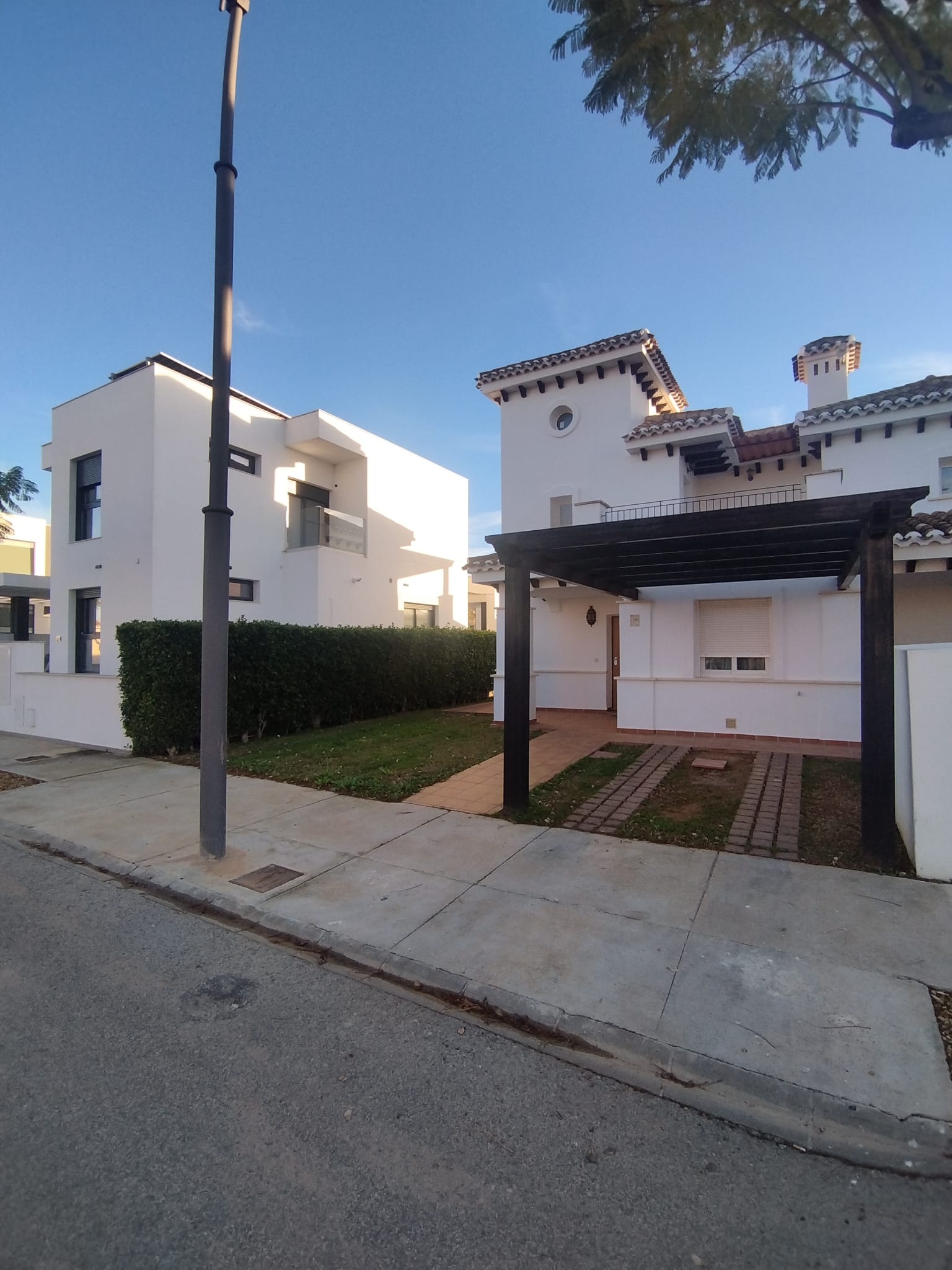 50059_WhatsApp Image 2026-02-09 at 19.10.27 (1).jpeg